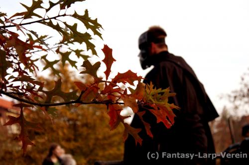 Fantasy-LARP-Verein-Wolfswacht-1015-085