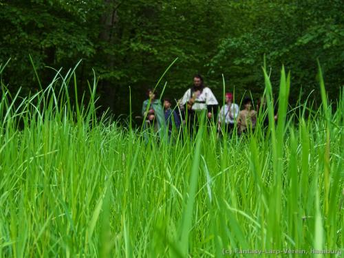 Fantasy-LARP-Verein-ElaInura-0523-253