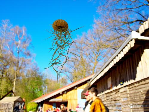 Fantasy-Larp-Verein-Wasserwacht-050425-075