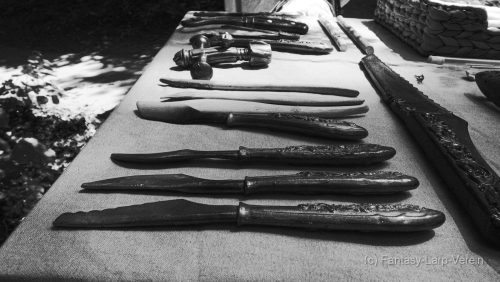 Fantasy-Larp-Verein-Wasserwacht-21-06-25-A021
