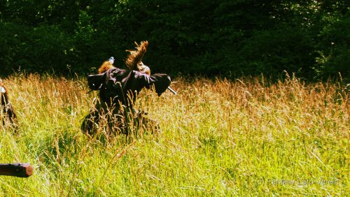 Fantasy-Larp-Verein-Wasserwacht-21-06-25-A103