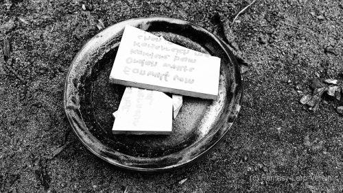 Fantasy-Larp-Verein-Windora-2806255-A023