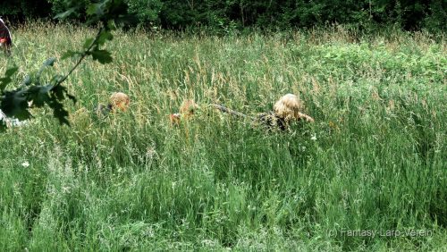 Fantasy-Larp-Verein-Windora-2806255-A078