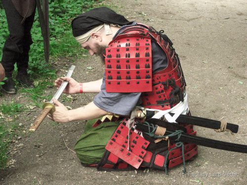 Fantasy-Larp-Verein-Windora-2806255-A099