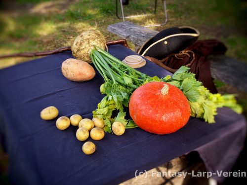 Fantasy-Larp-Verein-Windora-20.09.25A0024
