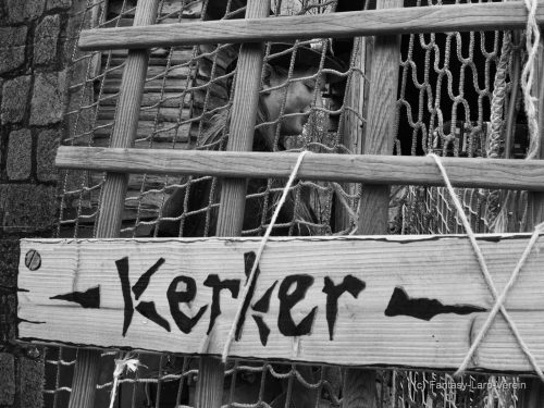 Fantasy-Larp-Verein-Windora-140326-061