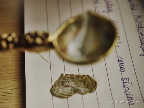 Fantasy-Larp-Verein-Windora-140326-083