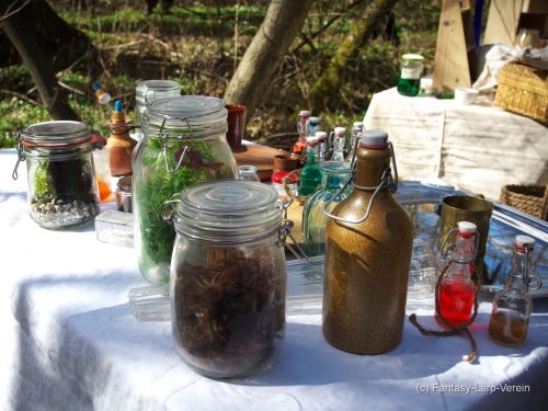 Fantasy-Larp-Verein-040426-066