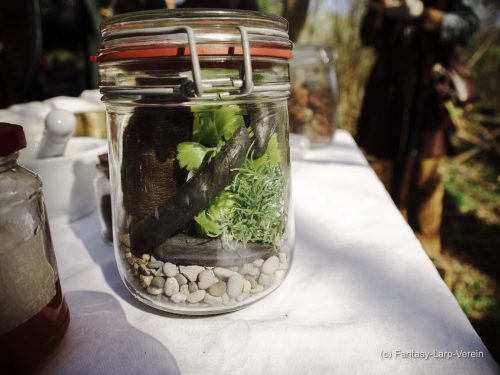 Fantasy-Larp-Verein-040426-075