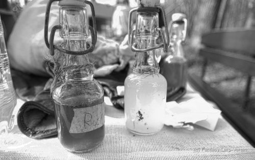 Fantasy-Larp-Verein-040426-111