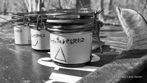 Fantasy-Larp-Verein-040426-118