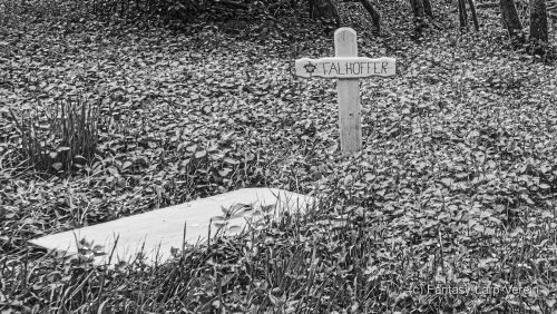 Fantasy-Larp-Verein-250426-055