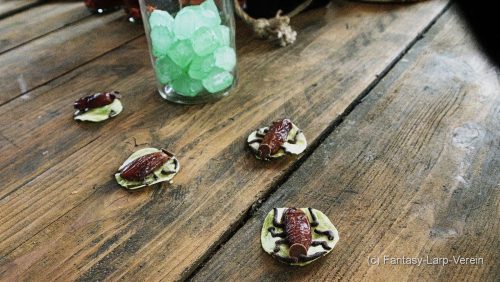 Fantasy-Larp-Verein-250426-069