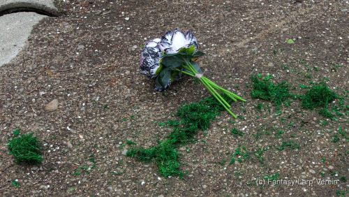 Fantasy-Larp-Verein-250426-071
