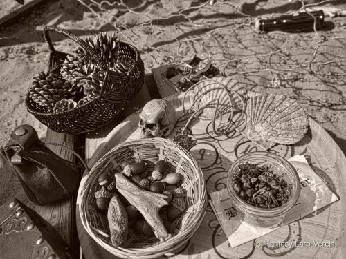 Fantasy-Larp-Verein-250426-115